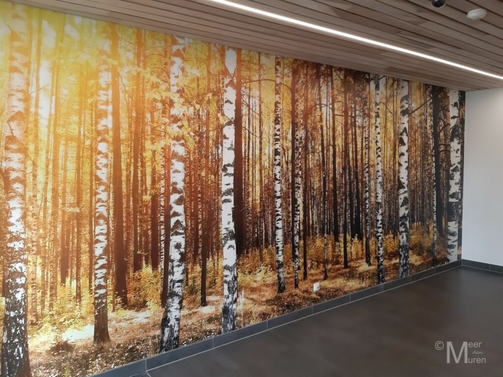 Fotobehang in entreehal